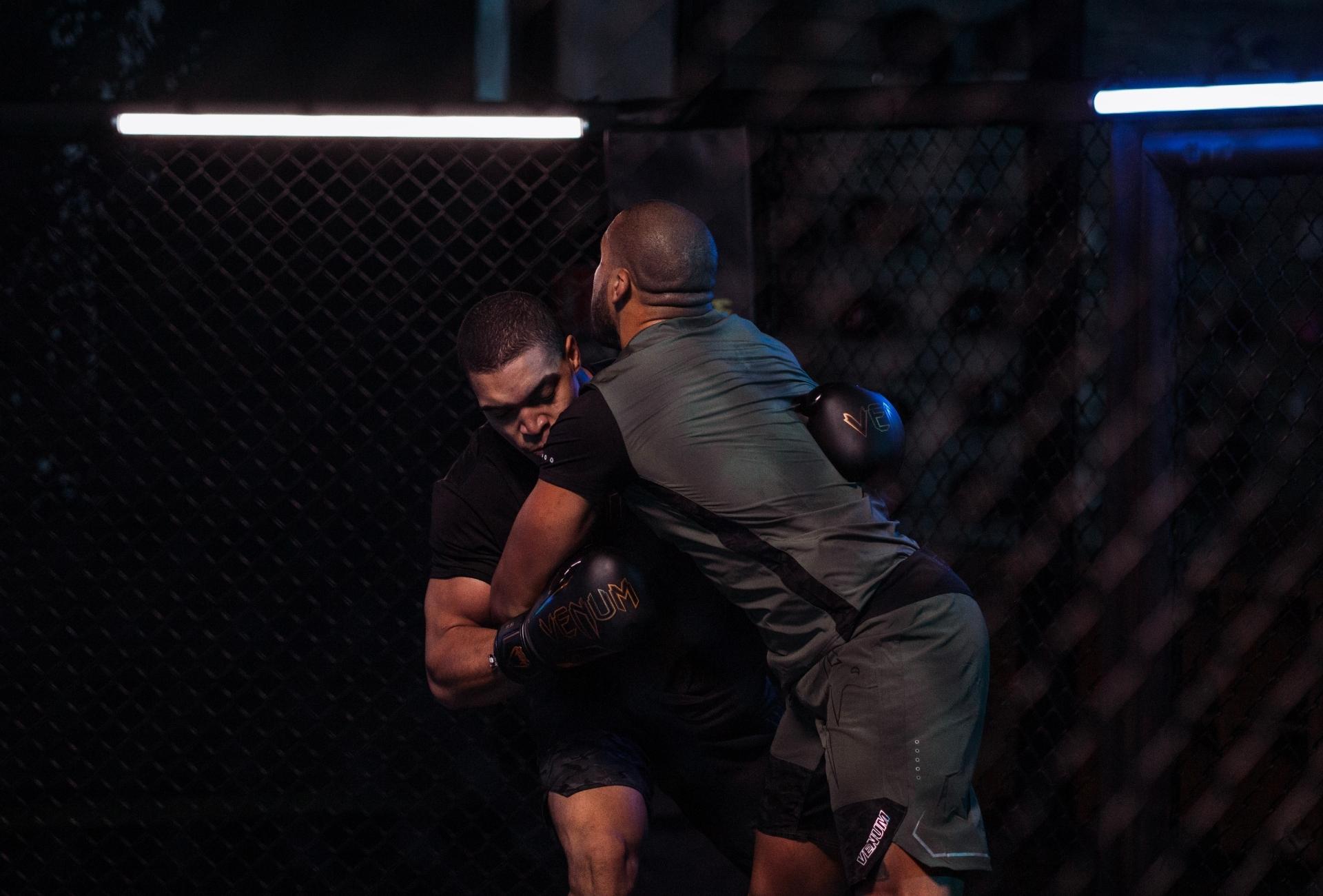 MMA FACTORY VENUM (3)